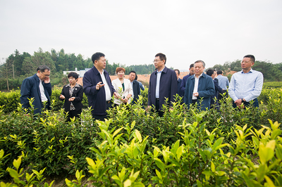 张小平在新余开展壮大农业龙头企业调研